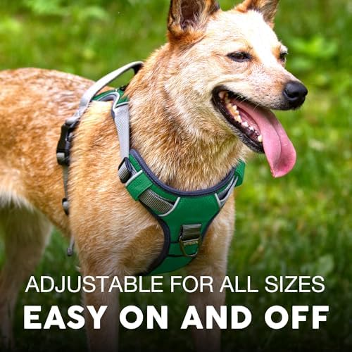 Embark No Pull Dog Harness, Reflective Adjustable Training Vest, No Choke - Image 4