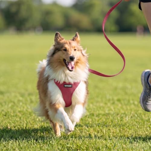 Voyager Step-in Pet Harness by Best Pet Supplies - Image 7