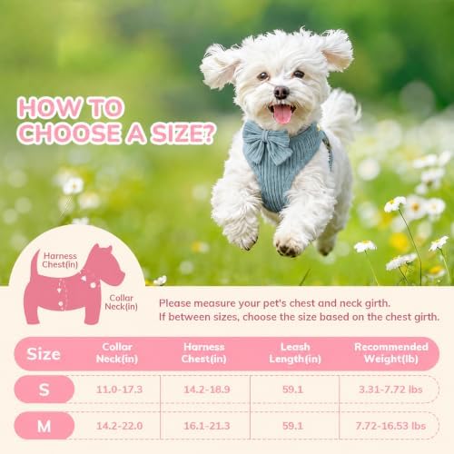 Small Dog Collar Harness and Leash Set - Image 2
