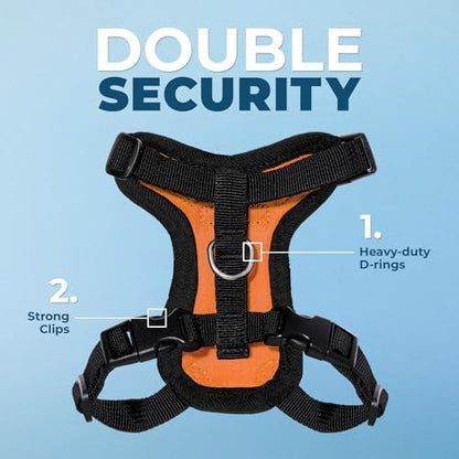 Voyager Step-in Lock Cat Harness & Leash Set - Image 2