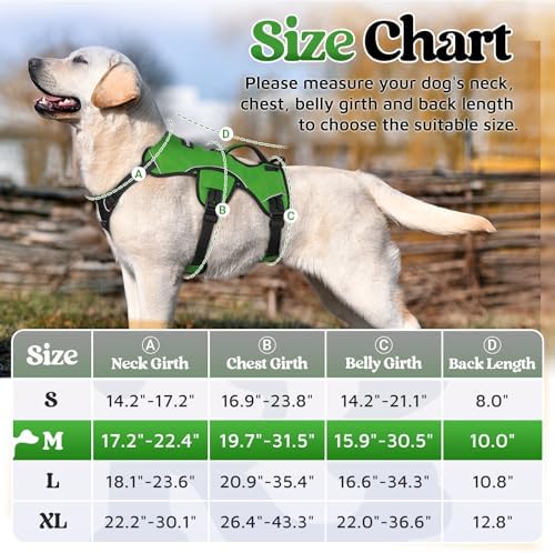 rabbitgoo Escape Proof Dog Harness - Image 2
