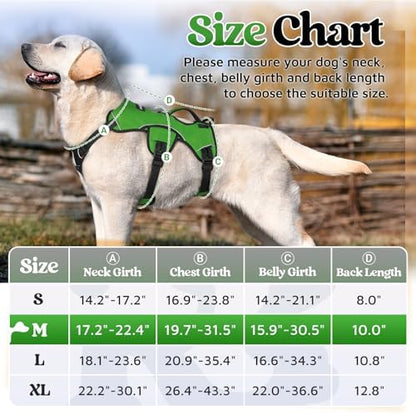 rabbitgoo Escape Proof Dog Harness - Image 2