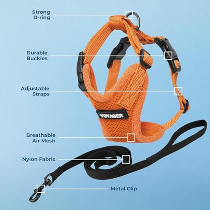 Voyager Step-in Lock Cat Harness & Leash Set - Image 3
