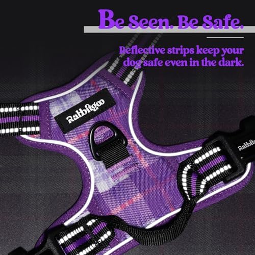 rabbitgoo Dog Harness, No Pull Medium Sized - Image 7