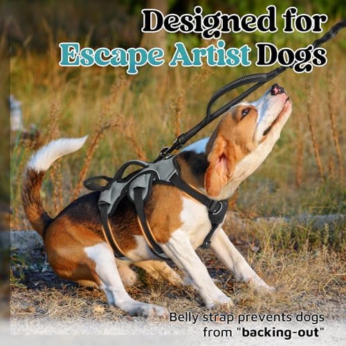 rabbitgoo Escape Proof Dog Harness - Image 2