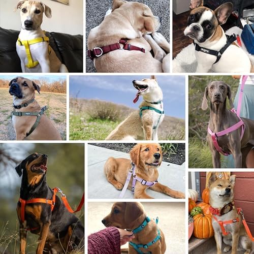 Blueberry Pet Essentials Step-in Dog Harness, Large Size | Adjustable Dark - Image 3