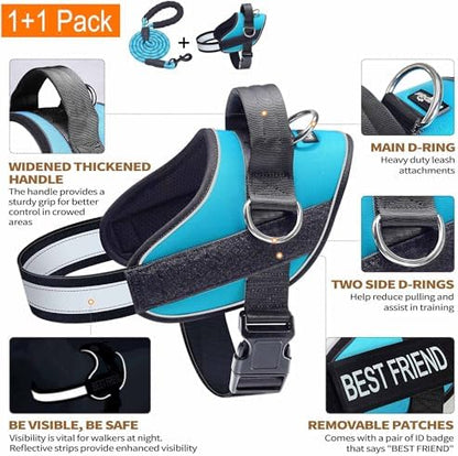 Haapaw Essential Dog Harness, No Pull Pet Vest - Image 2