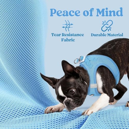 rabbitgoo Step-in Small Dog Harness, Puppy Vest - Image 6