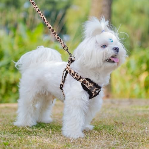 PUPTECK Dog Harness and Leash Set Small Sized, Step in No Pull Adjustable Puppy - Image 5