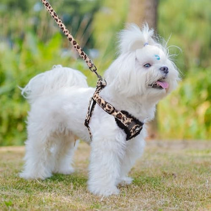 PUPTECK Dog Harness and Leash Set Small Sized, Step in No Pull Adjustable Puppy - Image 5