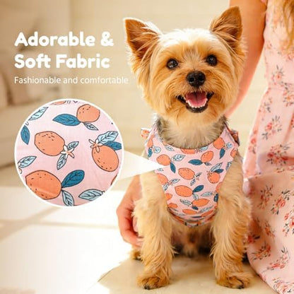 BAEJMJK Dog Harness and Leash Set - Image 3