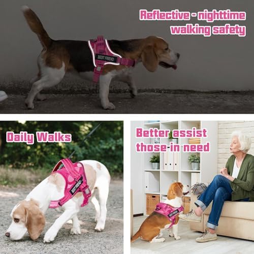 AUROTH Dog Harness and Leash Set - Image 2