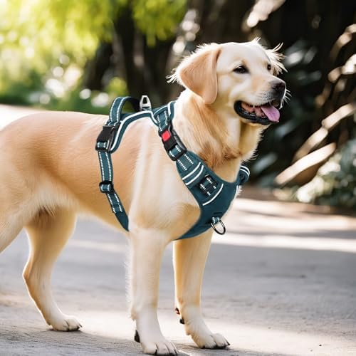 Timos Dog Harness, No Pull Large Sized - Image 6