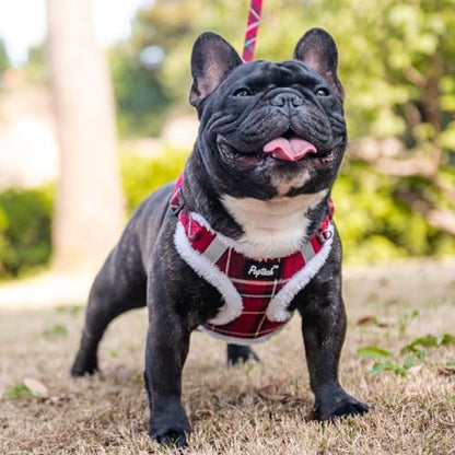 PUPTECK Dog Harness and Leash Set Medium Sized, Step in No Pull Adjustable - Image 5