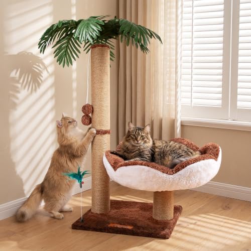 2-in-1 Plant Cat Scratching Post by Famifit
