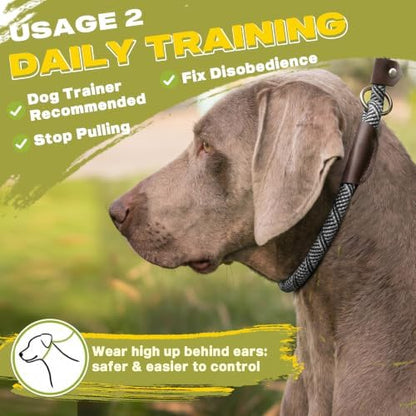 Fida Durable Slip Lead Dog Leash, 4 FT x 1/2" Dog Training Leash - Image 5