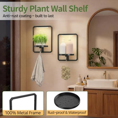 LASZOLA Plant Picture Frame Holder Shelf Wall - Image 6