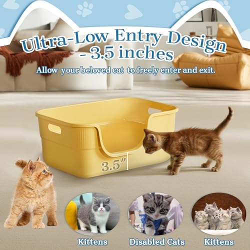 2 Pack Low Entry Kitty Litter Box - Image 2