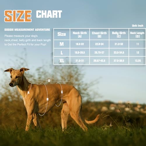 AUROTH Escape Proof Dog Harness - Image 2