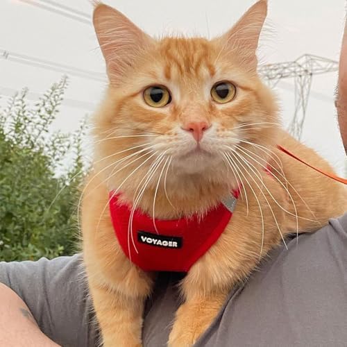 Voyager Step-in Air Cat Harness & Leash Set - Image 7