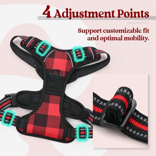 rabbitgoo Dog Harness, No Pull for Small Dogs - Image 4