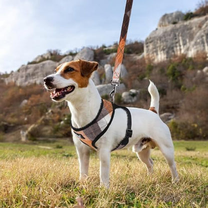 PUPTECK Small Dog Harness and Leash Set No Pull - Image 6