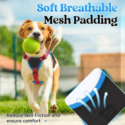 rabbitgoo Escape Proof Dog Harness - Image 6