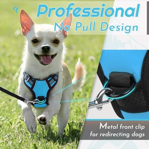 Eagloo Dog Harness for Small Dogs, No Pull Pet Vest - Image 3