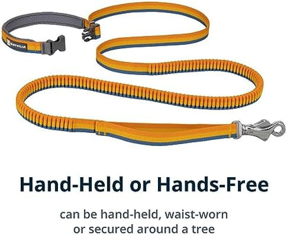 Ruffwear, Roamer Bungee Dog Leash - Image 4