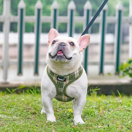 PUPTECK Small Dog Harness and Leash Set No Pull - Image 6