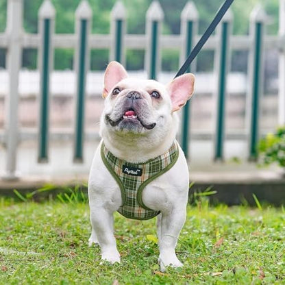 PUPTECK Small Dog Harness and Leash Set No Pull - Image 6