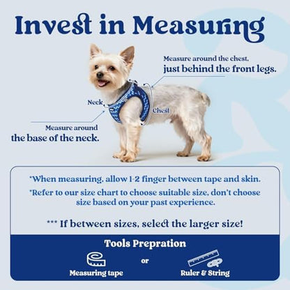rabbitgoo Step-in Small Dog Harness, Puppy Vest - Image 2