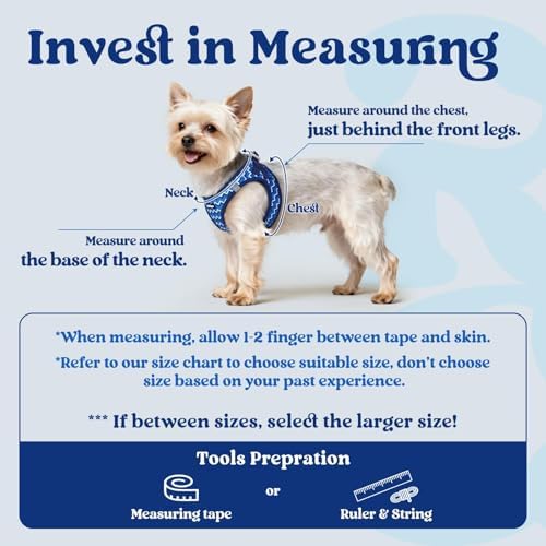 rabbitgoo Step-in Small Dog Harness, Puppy Vest - Image 2