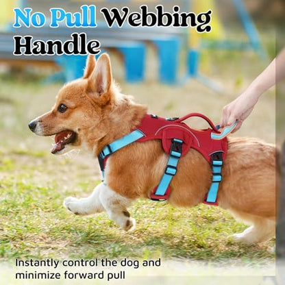 rabbitgoo Escape Proof Dog Harness - Image 3