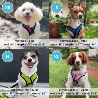 Gooby Comfort X Step-in Lite Harness, Choke-Free, Flamingo Pink - Image 5