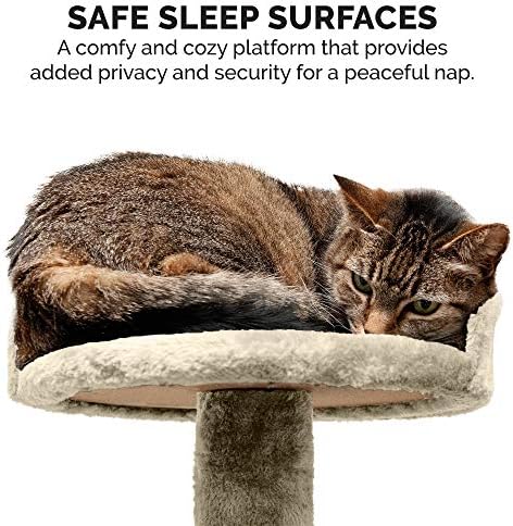 Furhaven 49.5" Tall Cat Tree for Indoor Cats, Ft. Sisal Scratching Posts - Image 6