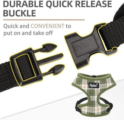 PUPTECK Small Dog Harness and Leash Set No Pull - Image 4