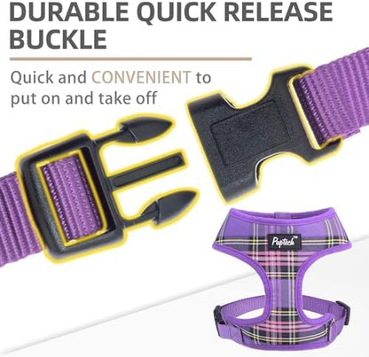 PUPTECK Small Dog Harness and Leash Set No Pull - Image 4