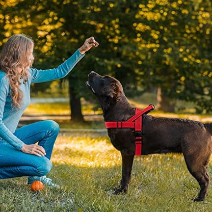 Red No Pull Dog Harness for Small Medium Large Sized Dog, Reflective Escape - Image 6