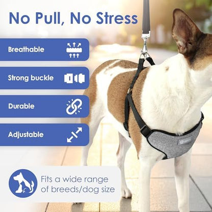 AKC Premium Padded Step-in Dog Harness – Soft Comfort Fit - Image 2