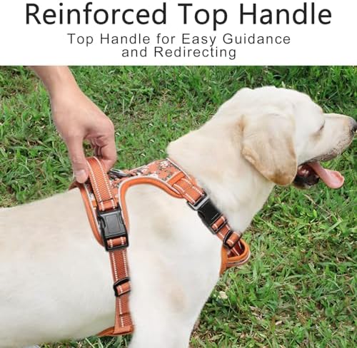 Timos Dog Harness Medium Sized, Quick Release 3 Buckles, Flower Orange - Image 6