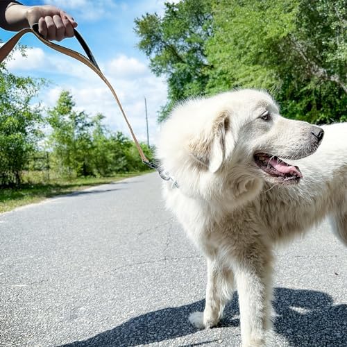 Joytale Dog Leash for Large Dogs that Pull, Double Handle - Image 4
