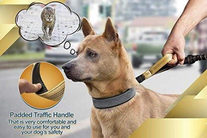 SparklyPets Hands Free Dog Leash, Medium & Large Breeds, Premium Gold - Image 3