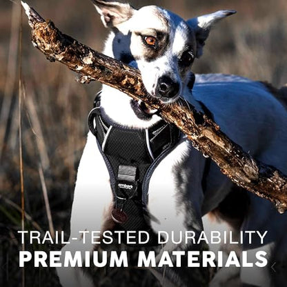 Embark No Pull Dog Harness, Reflective Adjustable Training Vest, No Choke - Image 4