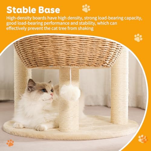 52-Inch Modern Cat Tree for Large Cats - Image 5