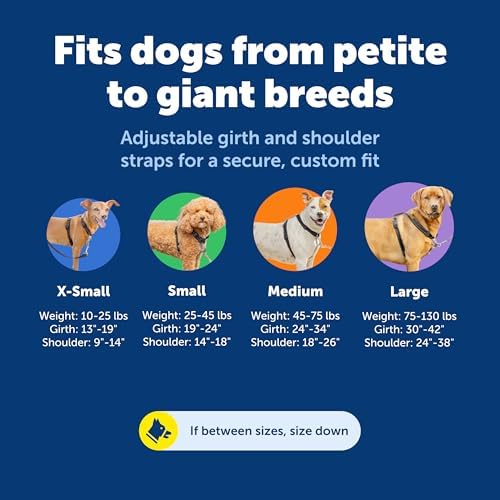 PetSafe 3 in 1 No-Pull Dog Harness - Image 6