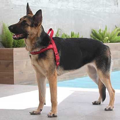 Plutus Pet No Pull Dog Harness for Large Dogs, Breathable Mesh Padded - Image 5