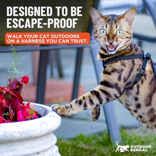 OutdoorBengal Houdini™ Escape Proof Cat Harness and Leash - Image 2