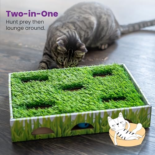 Catstages Grass Patch Hunting Box Cat Toy, Faux Grass & 3 Balls - Image 6