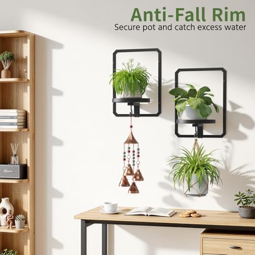 LASZOLA Plant Picture Frame Holder Shelf Wall Window Indoor - Image 6